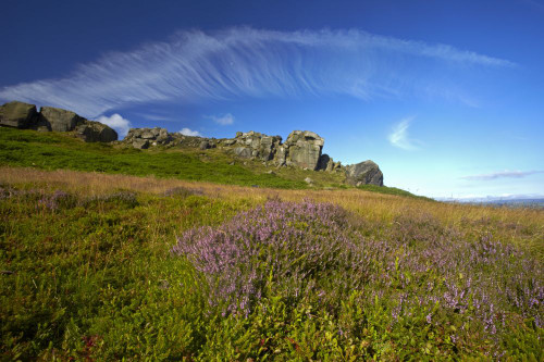 The Cow and Calf rocks on Ilkley Moor. Poster Print by Loop Images Ltd. (18 x 12)