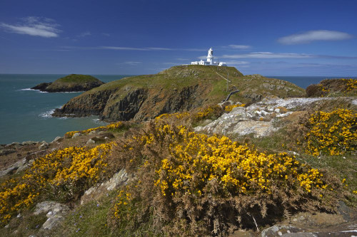 A view of Strumble Head Lighthouse. Poster Print by Loop Images Ltd. (18 x 12)
