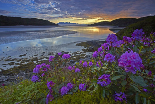 Sunset over Morar Sands looking towards with the islands of Eigg and Rhum. Poster Print by Loop Images Ltd. (18 x 12)
