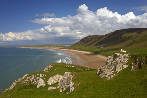 A view of Rhossili Bay. Poster Print by Loop Images Ltd. (18 x 12)