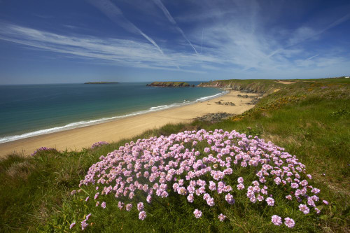 The wide sandy beach at Marloes from the Pembrokeshire Coastal Path. Poster Print by Loop Images Ltd. (18 x 12)