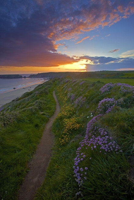 Sunset over Marloes beach from the Pembrokeshire Coastal Path. Poster Print by Loop Images Ltd. (12 x 18)