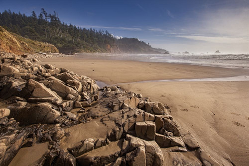 Late afternoon view of Indian Beach at low tide with blue sky. Poster Print by Loop Images Ltd. (20 x 13)