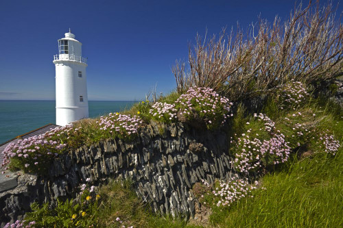 The lighthouse at Trevose Head on the north Cornish coast. Poster Print by Loop Images Ltd. (18 x 12)
