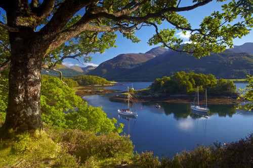 Yachts anchored in the calm waters of Loch Leven at Bishop's Bay. Poster Print by Loop Images Ltd. (18 x 12)