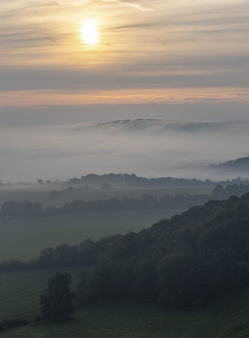 Bank of fog flows over the Long Man of Wilmington in the South Downs National Park at sunrise; Brighton, East Sussex, England Poster Print by Stuart Short (13 x 18)