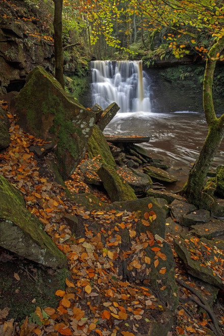 An autumnal view of fallen leaves and a cascading waterfall in a rocky gorge. Poster Print by Loop Images Ltd. (13 x 20)
