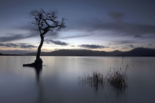 Sunset over Loch Lomond from Milarrochy Bay. Poster Print by Loop Images Ltd. (20 x 13)