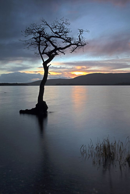 Sunset over Loch Lomond from Milarrochy Bay. Poster Print by Loop Images Ltd. (13 x 20)