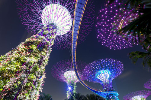 Supertrees of Gardens by the Bay with sweeping high level walkway at night. Poster Print by Loop Images Ltd. (18 x 11)