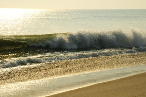 Waves crashing on a Cape Cod beach.; Cape Cod National Seashore, Massachusetts. Poster Print by Darlyne Murawski (17 x 11)