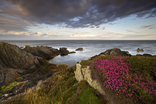 The Coastline of Langness on the Isle Of Man. Poster Print by Loop Images Ltd. (17 x 11)
