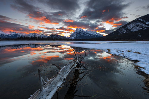 Stunning sunrise at Vermillion Lakes backed by Mt Rundle in Banff National Park. Poster Print by Loop Images Ltd. (19 x 12)