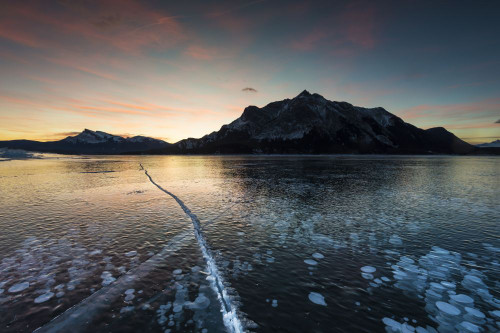 Trapped frozen methane bubbles at Abraham Lake. Poster Print by Loop Images Ltd. (19 x 12)