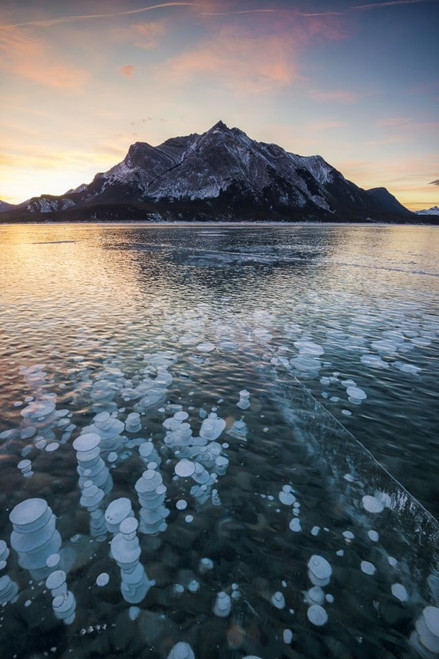 Methane bubbles frozen in the ice on Abraham Lake backed by Mt Michener at Kootenay Plains. Poster Print by Loop Images Ltd. (12 x 18)