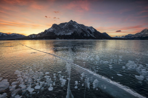Methane bubbles frozen in the ice below Abraham Lake backed by Mt Michener at Kootenay Plains. Poster Print by Loop Images Ltd. (17 x 11)