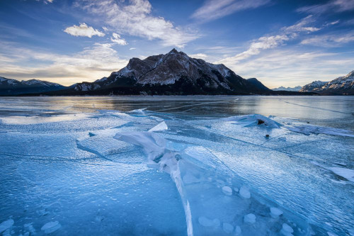 Ice formation at Abraham Lake. Poster Print by Loop Images Ltd. (19 x 12)