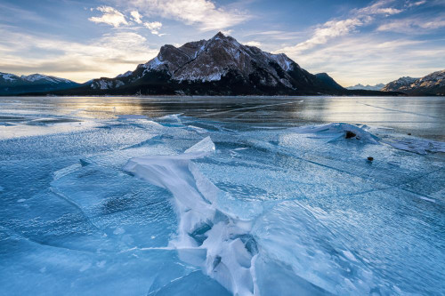 Ice formations at sunrise at Abraham Lake. Poster Print by Loop Images Ltd. (18 x 11)