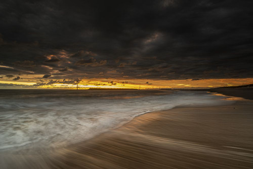 Seal Palling on the North Norfolk coast as the sun rises. Poster Print by Loop Images Ltd. (20 x 13)
