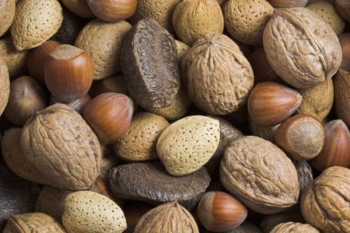 Assorted nuts. Poster Print by Loop Images Ltd. (17 x 11)