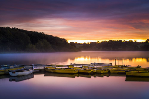 A new day dawns over the reservoir at Thornton. Poster Print by Loop Images Ltd. (19 x 12)