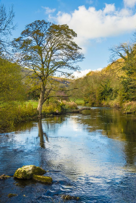 The river Wye in Monsal Dale. Poster Print by Loop Images Ltd. (13 x 20)