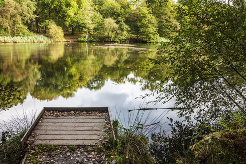 Cannop Ponds in the Forest of Dean in Gloucestershire. Poster Print by Loop Images Ltd. (18 x 12)