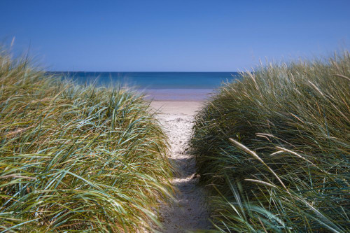 A path to the beach through the dunes and grasses. Poster Print by Loop Images Ltd. (20 x 13)