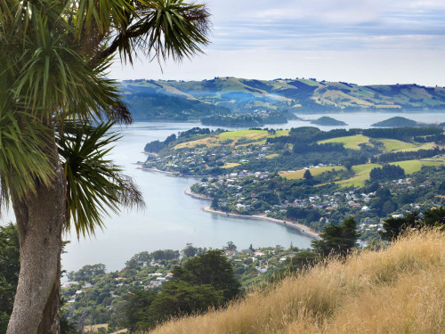 Otago Harbour on New Zealand's North Island. Poster Print by Loop Images Ltd. (17 x 12)