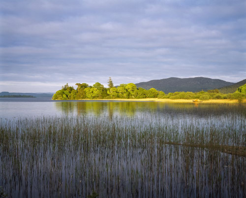 Lough Gill; Co Sligo, Ireland Poster Print by The Irish Image Collection (17 x 14)