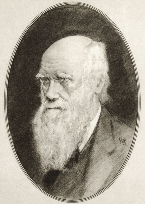 Charles Robert Darwin, 1809 - 1882.  English naturalist, geologist and biologist.  Illustration by Gordon Ross, American artist and illustrator (1873-1946), from Living Biographies of Famous Men. Poster Print by Ken Welsh (12 x 17)