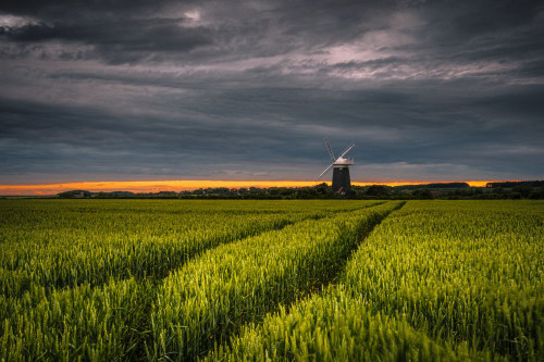 The sun sets behind Burnham Overy windmill in Norfolk. Poster Print by Loop Images Ltd. (20 x 13)