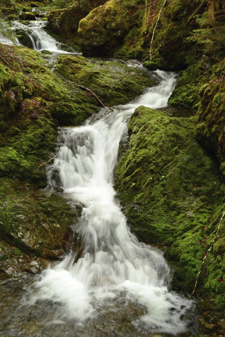 Scenic view of Dickson Falls in Fundy Biosphere Reserve.; Alma, Fundy National Park, New Brunswick, Canada. Poster Print by Darlyne Murawski (13 x 20)