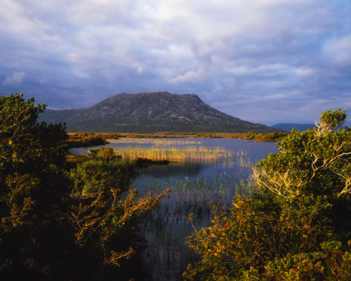 Loughanillaun, Maam Cross, Connemara, County Galway, Ireland Poster Print by The Irish Image Collection (17 x 13)