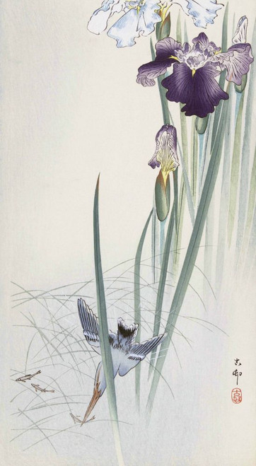 Kingfisher and Irises, by Japanese artist Ohara Koson, 1877 - 1945.  Ohara Koson was part of the shin-hanga, or new prints movement. Poster Print by Ken Welsh (11 x 20)