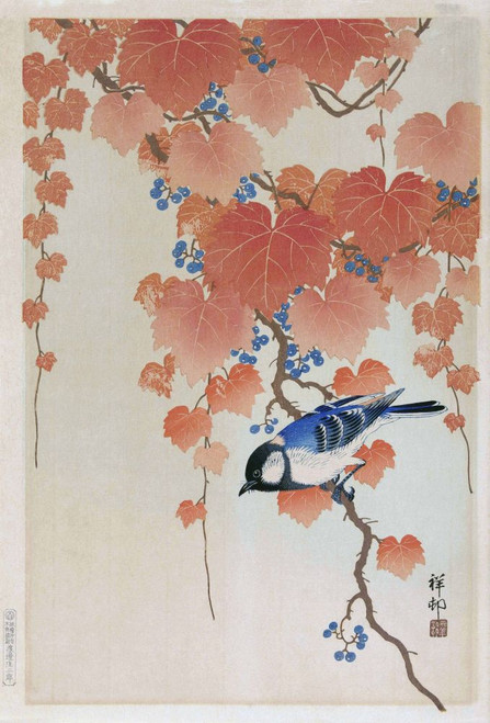 Great Tit on Paulownia Branch, by Japanese artist Ohara Koson, 1877 - 1945.  Ohara Koson was part of the shin-hanga, or new prints movement. Poster Print by Ken Welsh (13 x 20)