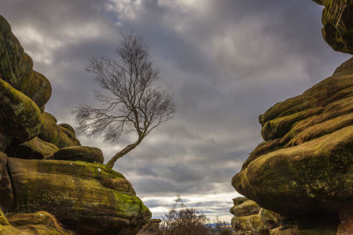 Brimham rocks. Poster Print by Loop Images Ltd. (18 x 12)