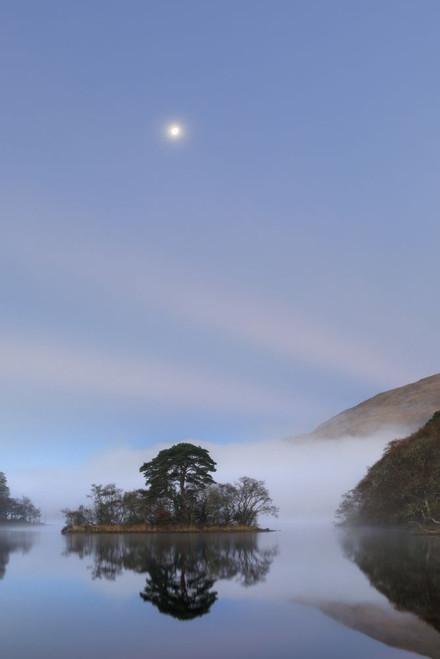 The moon over trees on Loch Awe in Scotland. Poster Print by Loop Images Ltd. (13 x 20)