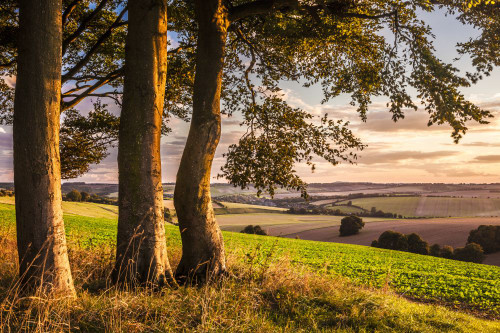 Sunset over the North Wessex Downs in Wiltshire. Poster Print by Loop Images Ltd. (18 x 12)