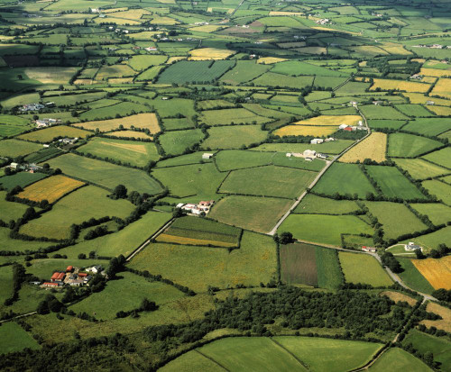 County Fermanagh, Ireland Poster Print by The Irish Image Collection (15 x 12)