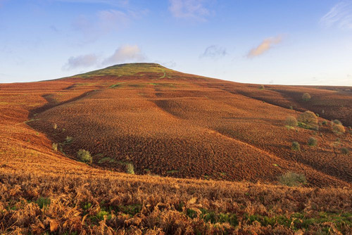 Sugar loaf mountain at Abergavenny in South Wales. Poster Print by Loop Images Ltd. (20 x 13)