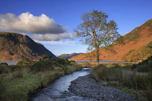 Sail Beck and Crummock Water. Poster Print by Loop Images Ltd. (20 x 13)