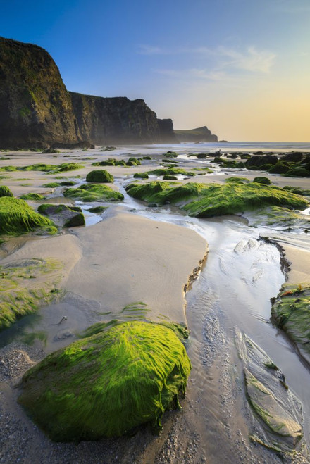 A stream on Whipsiderry Beach. Poster Print by Loop Images Ltd. (13 x 20)