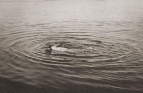 French artist Toulouse-Lautrec swimming in the Bassin d'Arcachon in 1896. Photograph taken by his friend photographer Maurice Guibert. Henri de Toulouse Lautrec, 1864-1901. Maurice Guibert, 1856-1913. Poster Print by Ken Welsh (17 x 11)
