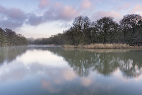 Cannop ponds in the Forest of Dean in Gloucestershire. Poster Print by Loop Images Ltd. (20 x 13)