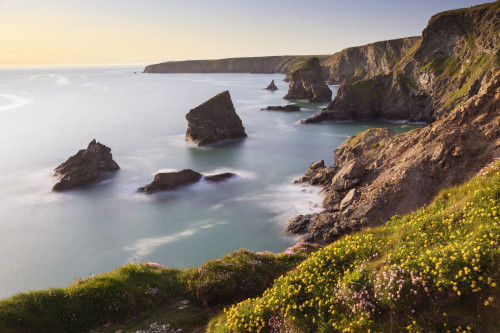 Spring at the Bedruthan Steps. Poster Print by Loop Images Ltd. (20 x 13)