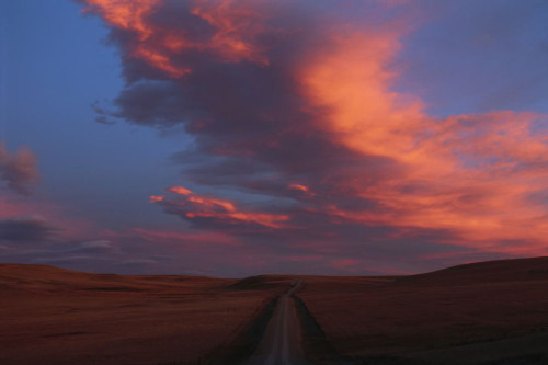 Dramatic glowing pink clouds over vast landscape at sunset; Choteau, Montana, United States of America Poster Print by Joel Sartore Photography (17 x 11)