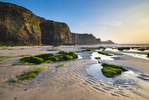 The sea cliffs on Trevelgue Head near Newquay. Poster Print by Loop Images Ltd. (20 x 13)