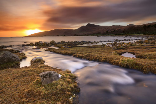 A stream at Loch Buie on the Isle of Mull. Poster Print by Loop Images Ltd. (20 x 13)