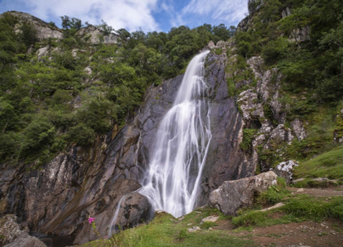 Aber Falls in summer near Abergwyngregyn in Snowdonia. Poster Print by Loop Images Ltd. (18 x 13)